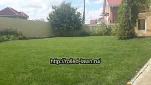 Уход за газоном