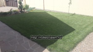 Уход за газоном